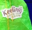 Keelings Fruits Showcase in Marketing